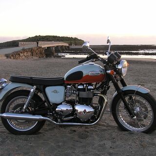 雨天決行、３月２８日（日曜日）一緒に花見・bikeの話に華が咲く...
