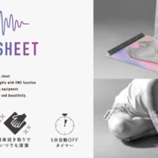 ATEX EMSシートの画像