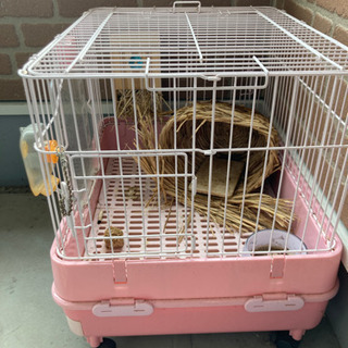 小動物飼育ケースの画像