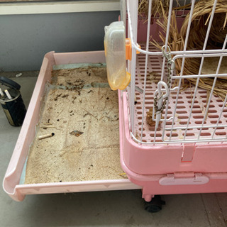 小動物飼育ケースの画像
