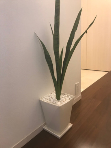 人工観葉植物　サンスベリア　おしゃれ