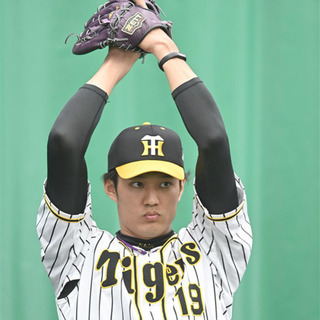 阪神タイガース 阪神 ファン LINEグル Tigers