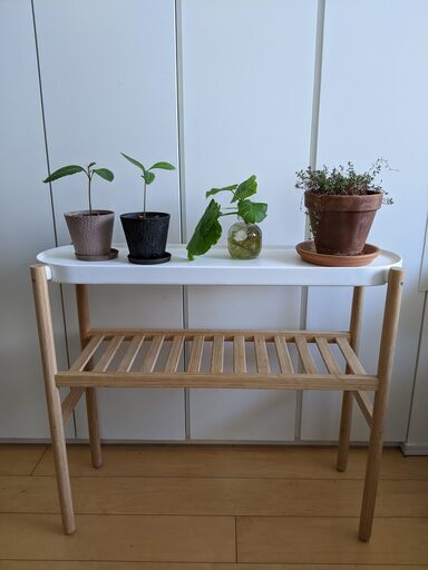 (引き取り待ち) IKEA イケア SATSUMAS プラントスタンド 竹 ホワイト