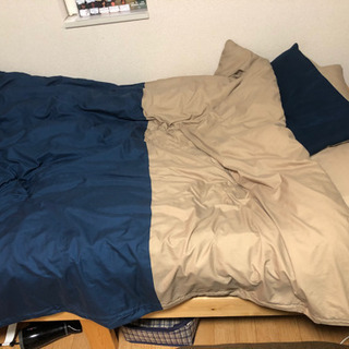 ベット
