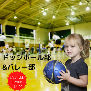 3/28（日）【参加者募集】ドッジボール&バレーボール会！
