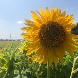一緒にダンスを練習してくださる方を募集してます！