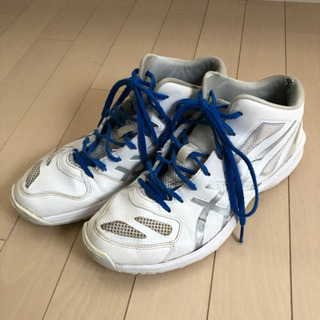 バッシュ　アシックス　26.5cm 