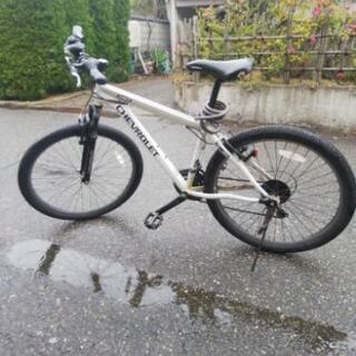 引っ越し　するから　揺すります　