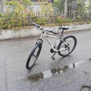 引っ越し　するから　揺すります　の画像