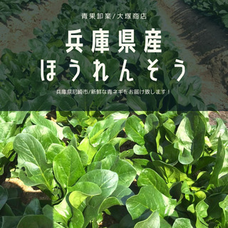 【兵庫県産/ほうれんそう】の画像