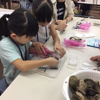 土日限定！GW歓迎！時給１２００円〜！　しながわ水族館でのイベントスタッフ募集！！の画像