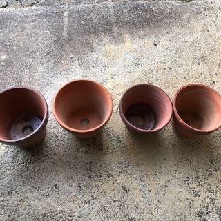 植木鉢。陶器の画像