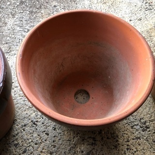 植木鉢。陶器の画像