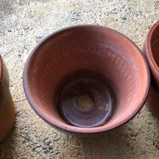 植木鉢。陶器の画像
