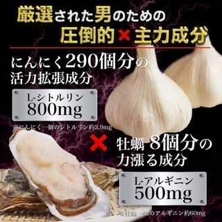 【新品】TiTAN X タイタンエックス マカ アルギニン シトルリン 亜鉛 クラチャイダム 厳選18種類配合の画像