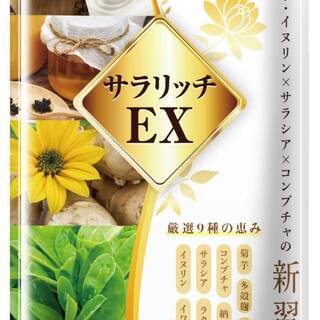 【新品】サラリッチＥＸ 180錠