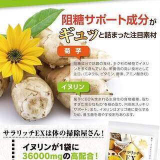 【新品】サラリッチＥＸ 180錠の画像