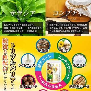 【新品】サラリッチＥＸ 180錠の画像