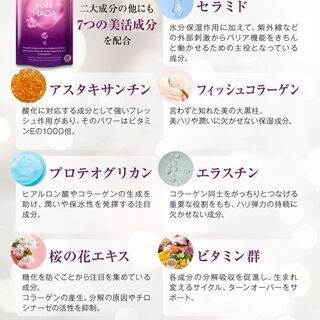 【新品】PURE HADA 50倍濃縮 プラセンタ10,000mg/日 超低分子ヒアルロン酸 コラーゲン セラミド 厳選9種の画像