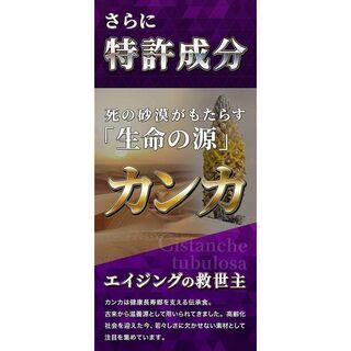 【新品】MAGINA(マギナ) MACAVELAS セレン マカ 亜鉛 シトルリン アルギニン カンカ トンカットアリ クラチャイダムの画像