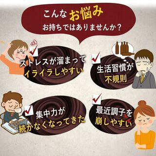 【新品】和漢堂 有機 田七人参 サプリメント 有機JAS認証 サポニン サプリ 100%有機田七人参 600粒入 30～90日分の画像