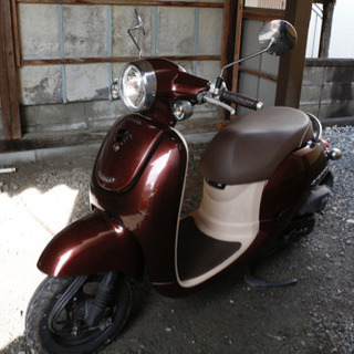 【3月20日まで受付】【HONDA ジョルノ AF70】の画像