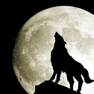 🐺🌕人狼ゲームやりたい人募集〜🌕🐺