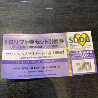 軽井沢プリンスホテルスキー場　一日リフト券