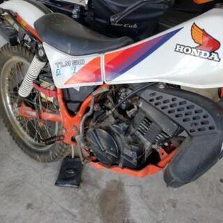 TLM50 委託 書類付き 1000キロ弱低走行の画像