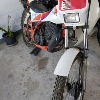 TLM50 委託 書類付き 1000キロ弱低走行の画像