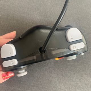 ホリコンの画像