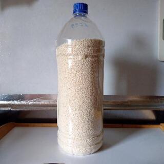 【お話中】もち米 約3Kg 2020年収穫