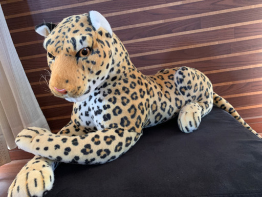 ヒョウ、ホワイトタイガー、黒ヒョウ