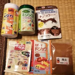 ドショウ水槽＆メダカ水槽＆メダカ子供水槽の画像