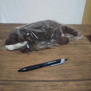 新品未使用 カワウソ マスコット 小物入れ の画像