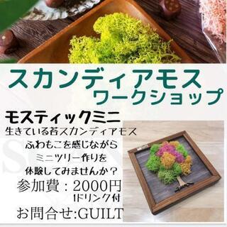 スカンディアモスアート体験
