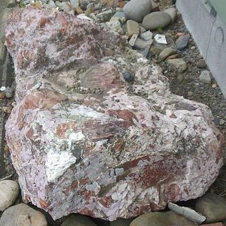 引取限定 発送運搬手配不可 庭石 旭川赤石？ 長さ1.5m×幅0.9m×高さ0.5m位の画像