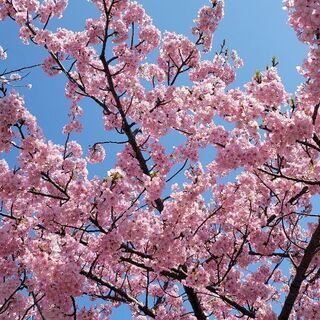 ライン友達募集中(❁´꒳`❁)ﾆｺ♡ - 岡崎市