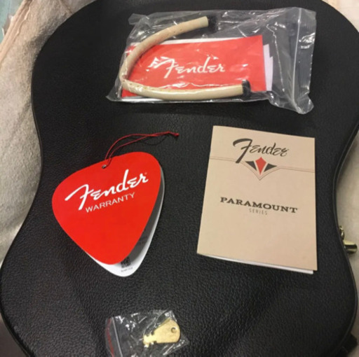 エレアコスティックギター　フェンダーPM1