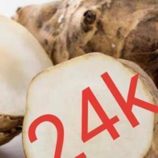 最安値！！きくいも  ダイエット 糖尿病 薬 オーガニック 健康...