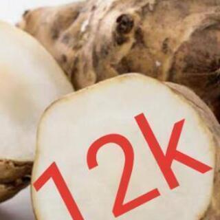 
訳有り‼️激安‼️最安値！！きくいも  ダイエット 糖尿病 薬...