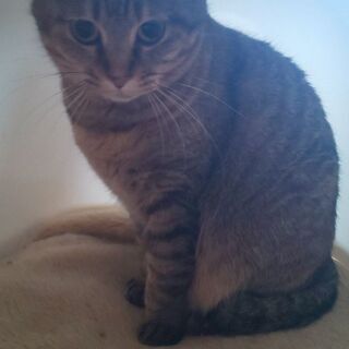 心広く長い目でみて頂ける方。