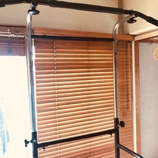ぶら下がり健康器具❗️