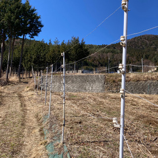 電気柵、獣害防止などに。の画像
