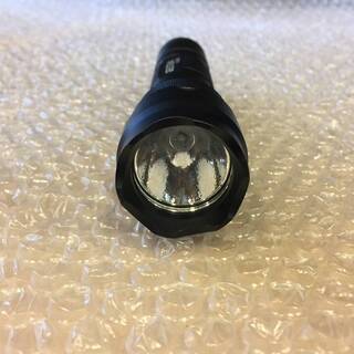 【新品】BESTSUN UV 365nm LED BlackLight 懐中電灯の画像
