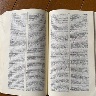 フランス語の辞書の画像
