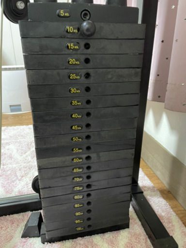 ファイティングロードDXホームジム100