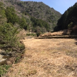 キャンプ場新設、会員メンバー募集