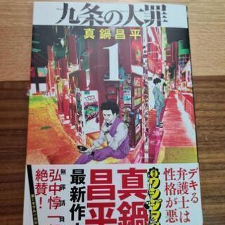 九条の大罪