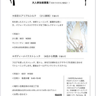 Aerialsilk&BodymakeStretch